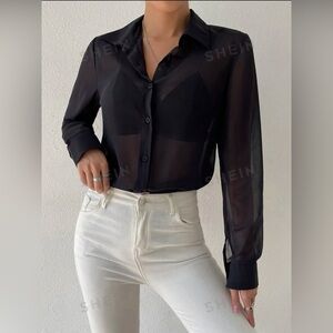 Extra Sheer Collared Button Up Blouse
